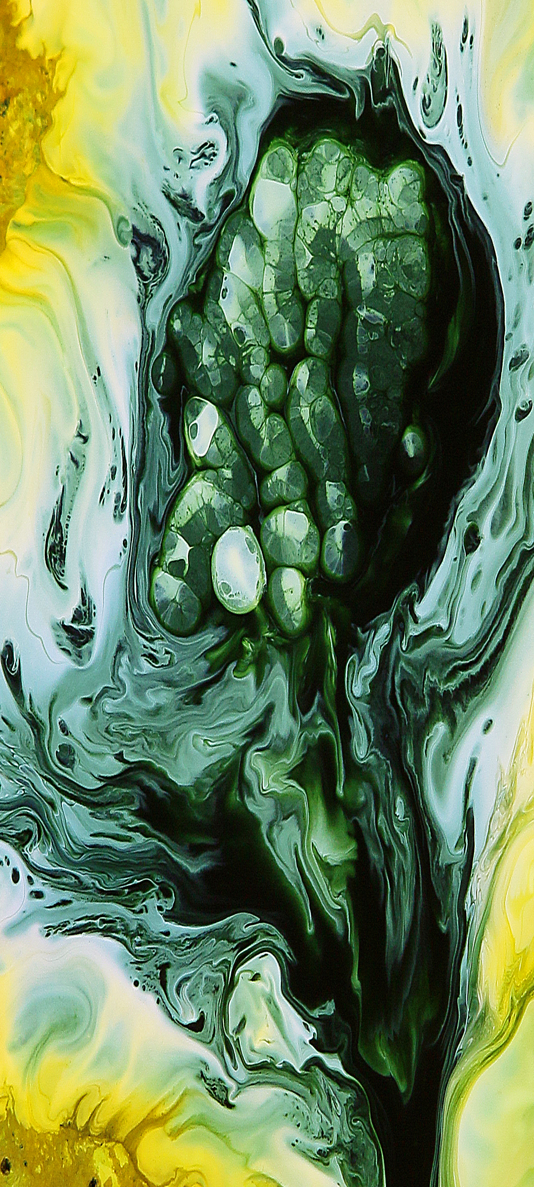 Alien Embryo – Original Art Phone Screensaver Digital Download